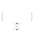 Fortitude 17